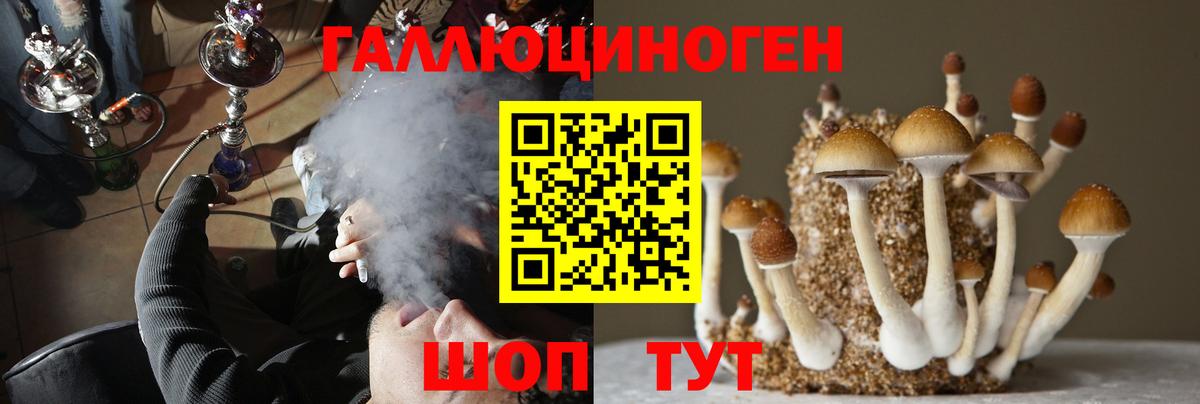 закладки  Вход с VPN  Балашов  Галлюциногенные грибы прущие грибы 